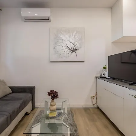 Twins Apartment Split